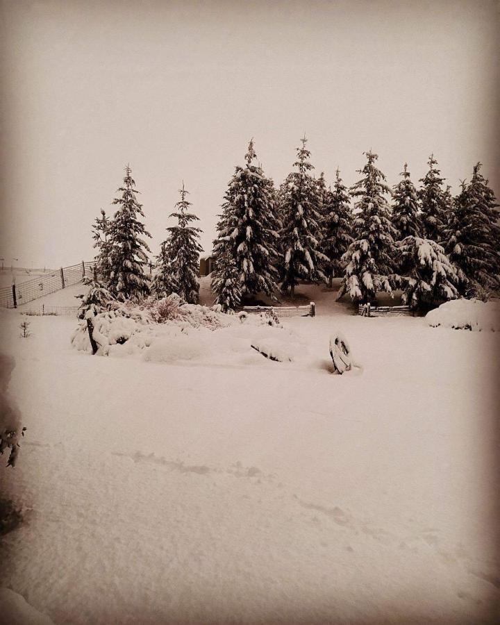 Ben Ohau Villa Twizel Buitenkant foto